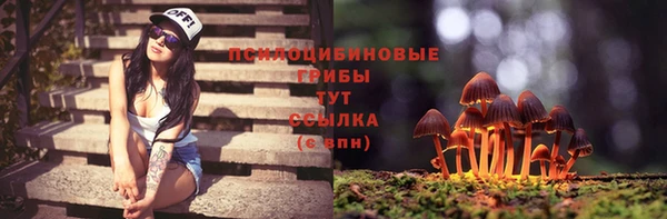 МДМА Богданович