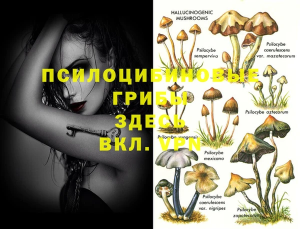 а пвп мука Богородск